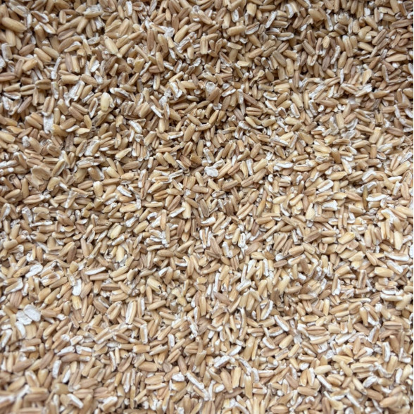 Auzu putraimi, BIO, 100g