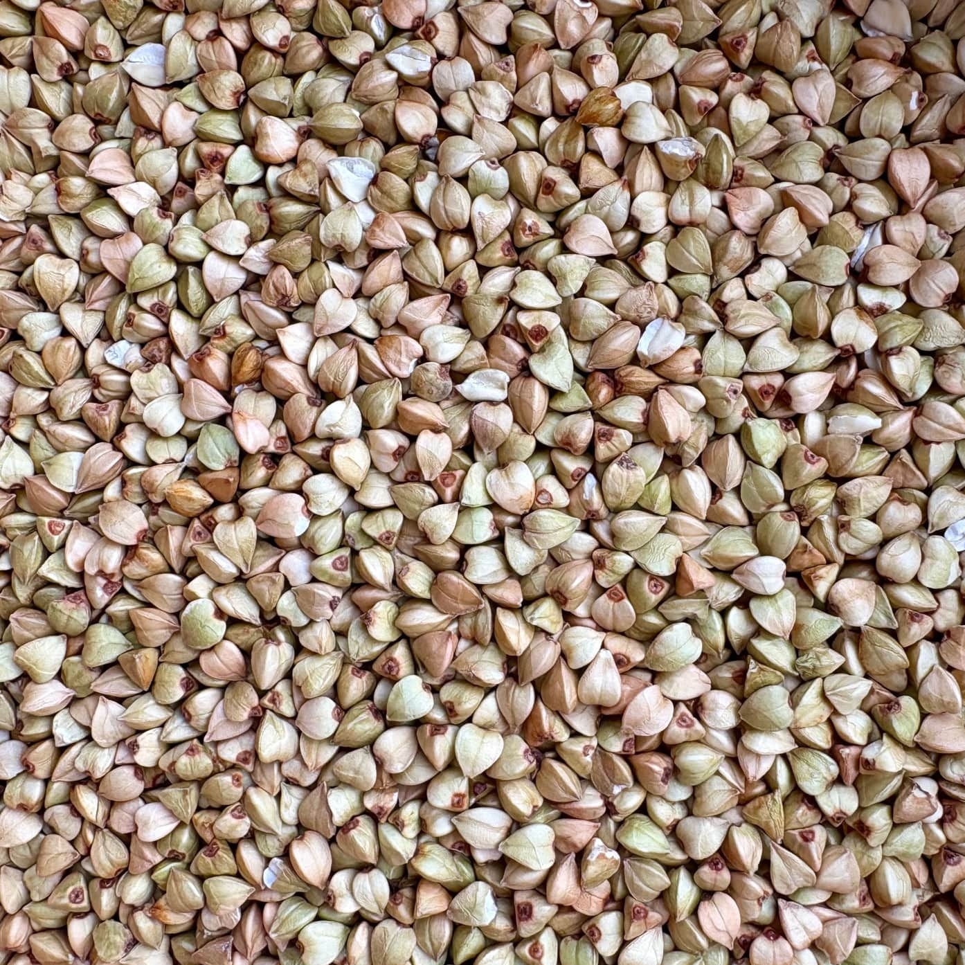Zaļie griķi, BIO, 100 g