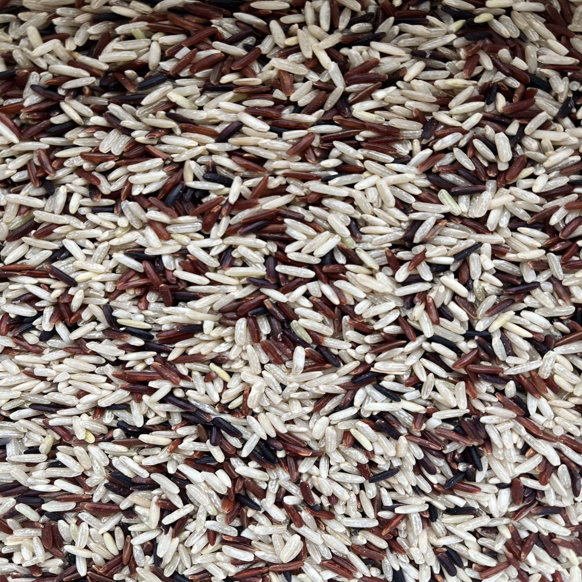 Rīsi 3-krāsu pilngraudu, BIO, 100 g