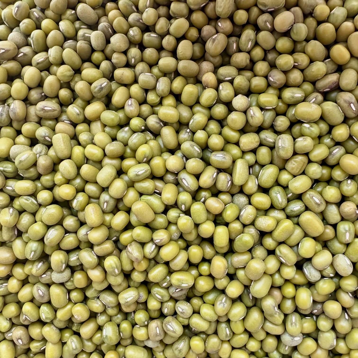 Mung zaļās pupiņas BIO, 100 g